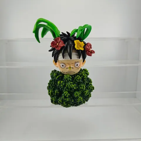 LUFFY ARBUSTO